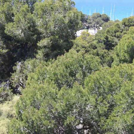 Welikehotel Fenix 4*