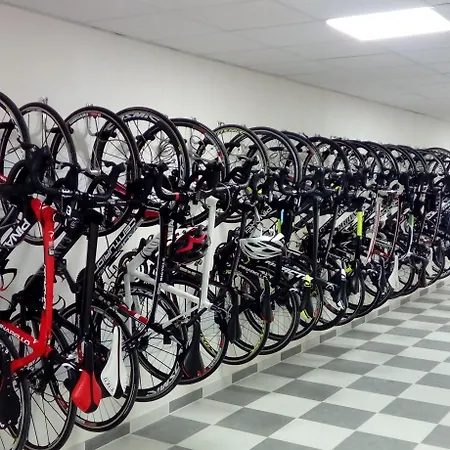 Welikehotel Fenix 4* 엘아레날