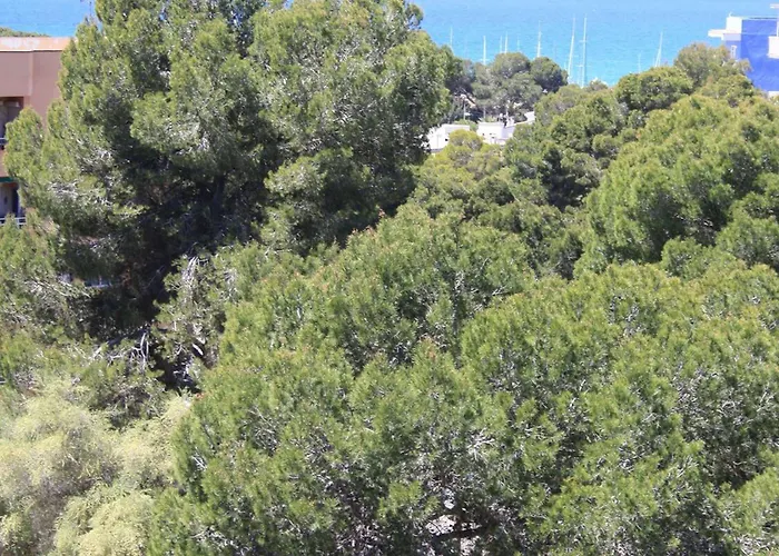 Welikehotel Fenix 4*